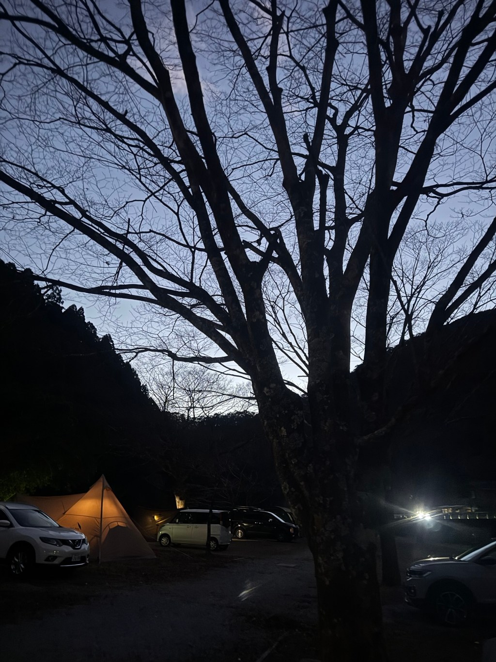 安田川アユおどる清流キャンプ場